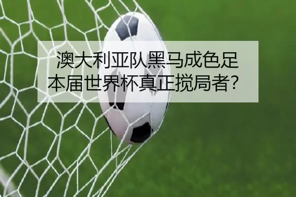 澳大利亚队黑马成色足 本届世界杯真正搅局者？